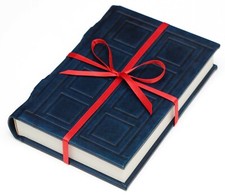 Doctor Who Tardis RIVER Song Diary