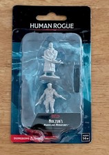 Human rogue wizkids d - human, d&d