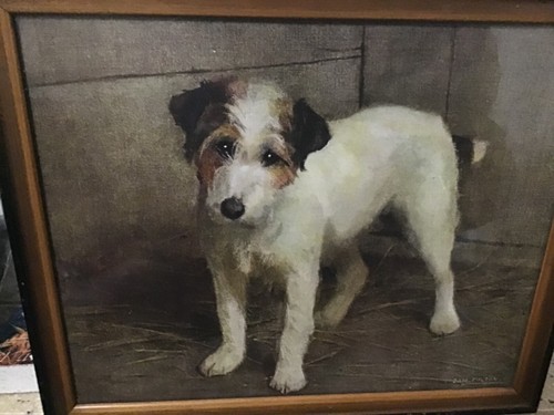 Rare original art - art, dog