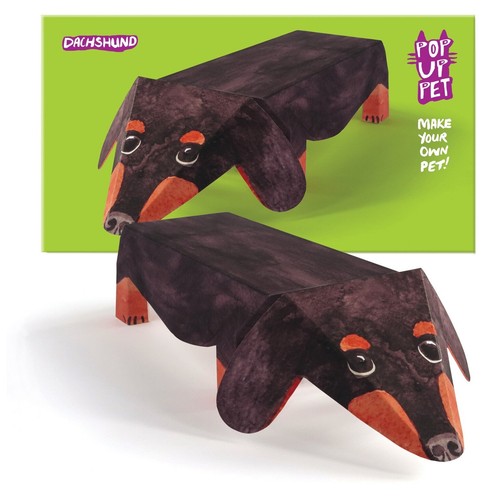 Pop pet dachshund - dachshund, dog