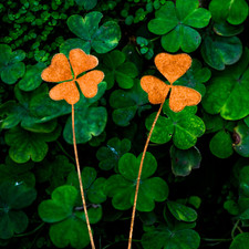 2Pcs Rusty Metal Heart Clover
