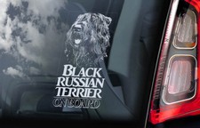 BLACK RUSSIAN TERRIER Car