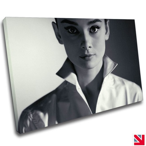 Audrey hepburn canvas wall - hepburn,