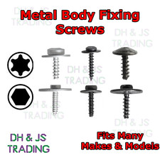 Metal Car Body Screws Trim