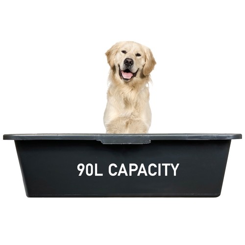 Dog pet cleaning - pet,