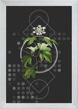 Vintage guelder rose - vintage, framed