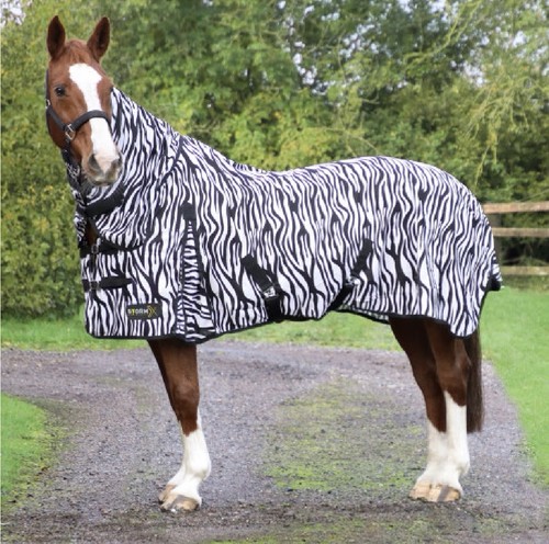 Stormx original zebra print - zebra,