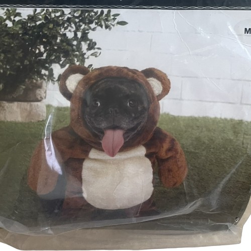 Ashland teddy bear dog costume - ashland,