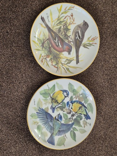 Collectors plates songbirds - plates, of
