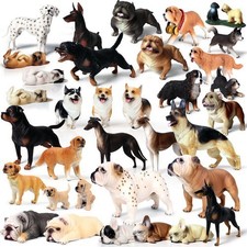 Bulldog Bully Pitbull Corgi