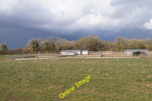 Photo 6x4 pheasant pens - 6x4,