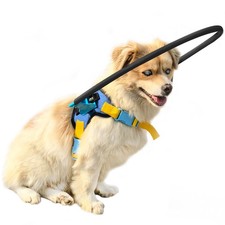 Blind Dog Halo Harness Small
