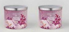 LOT OF 2 Bath & Body Works