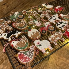 Resin iced gingerbread cookie - iced,