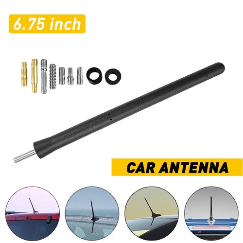 Black car aerial bee - 6.75",