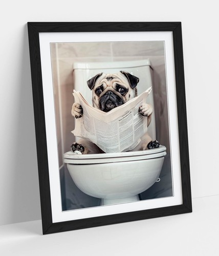 Pug the toilet reading a - the,