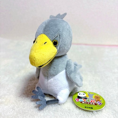 Animal park shoebill - shoebill, stork