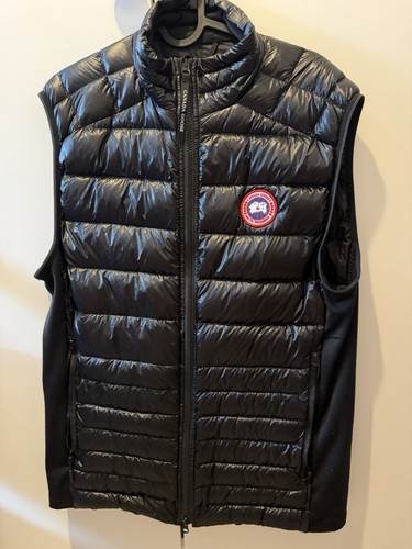 Canada goose - canada,