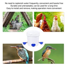 Chicken Water Cup Poultry Bird