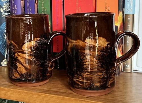 Boscastle camelot pottery - x,