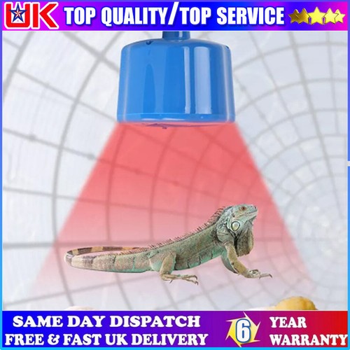 Heat lamp bulb - lamp,