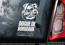 Dogue de Bordeaux - Car Window