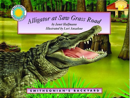 Alligator saw grass - alligator,