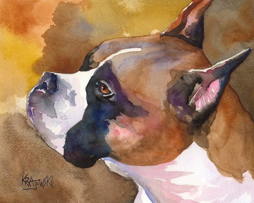 Boxer high resolution print - resolution,