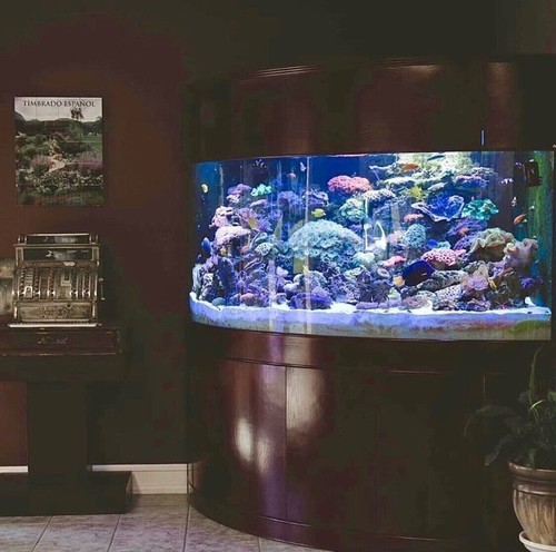 Rare glass 440 gallon - rare,