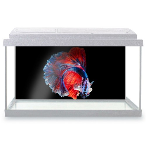 Fish tank background - tank,