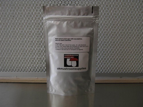 Mushroom agar powder pda - mushroom,