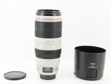 Canon EF 100-400mm f/4.5-5.6 L