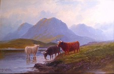 JOHN DAVISON LIDDELL