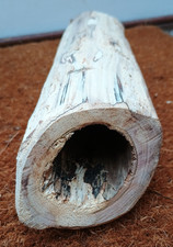 Hole in log, sculptural hole