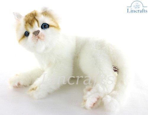 Hansa white tabby kitten 7979 - tabby,