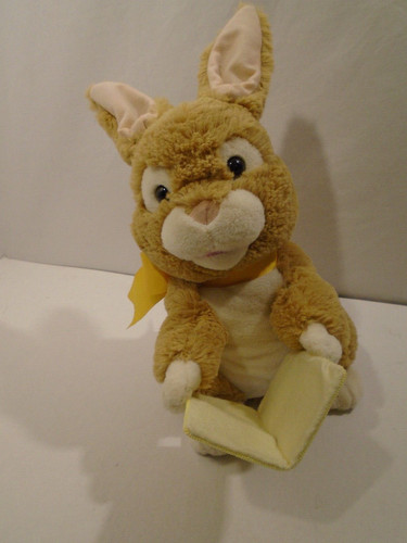 Storytelling bunny rabbit - storytelling,