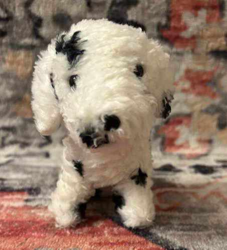 Small dalmatian dog - small,
