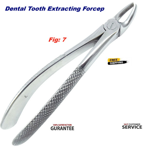 Dental upper right molar - dental,