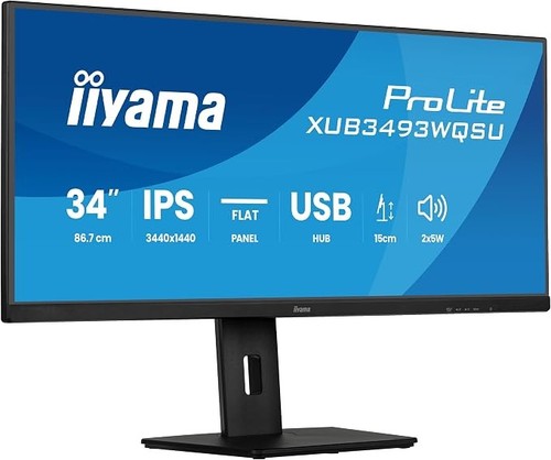 Iiyama monitor inch - monitor,