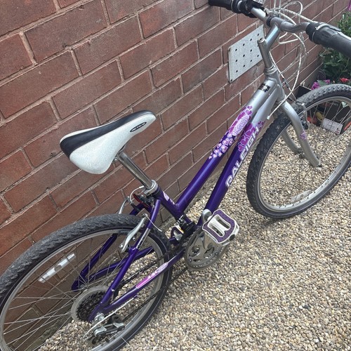 Raleigh krush 24inch kids - 24inch,