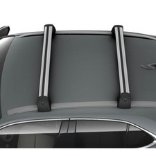 Lexus UX Genuine Roof Rack