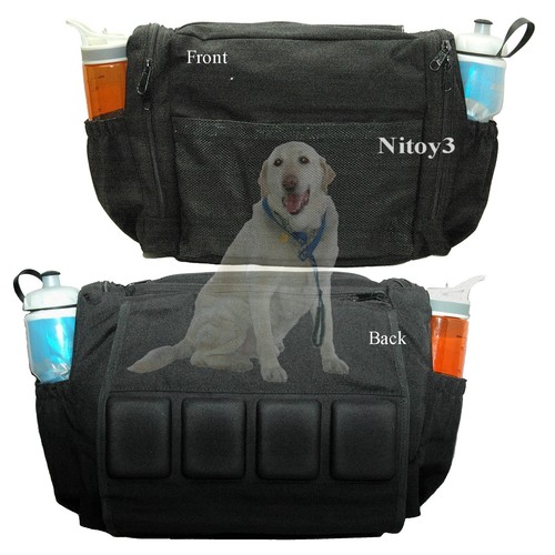 Bucks backseat storage - storage, bag