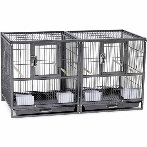 Prevue pet products - prevue, hampton