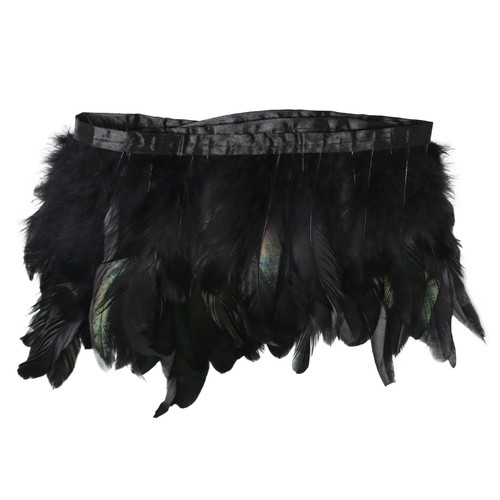 Rooster tail feathers long - tail,