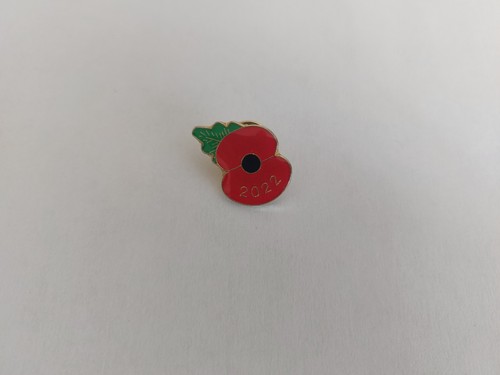 2022 british legion - british, pin