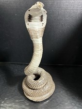 Vintage Taxidermy Cobra Snake