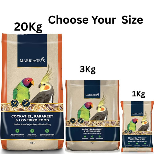 Marriages lovebird food - marriages,