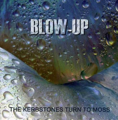 Kerbstones turn moss - kerbstones,