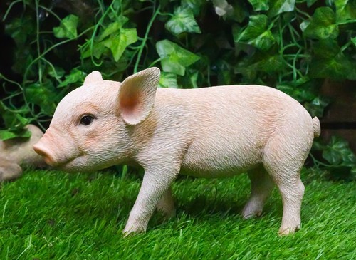 Adorable realistic animal - realistic, farm
