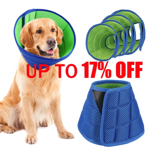 Wound healing pet - healing,